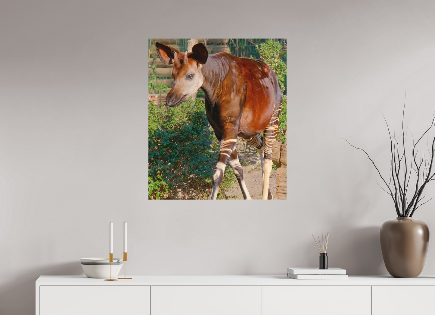 70 x 81,7 cm, Impression mate fine art sur alu dibond (prête à être accrochée) Okapi (Allemagne, Berlin)