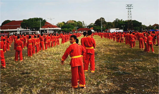 Silat (Indonesia, Yogyakarta)