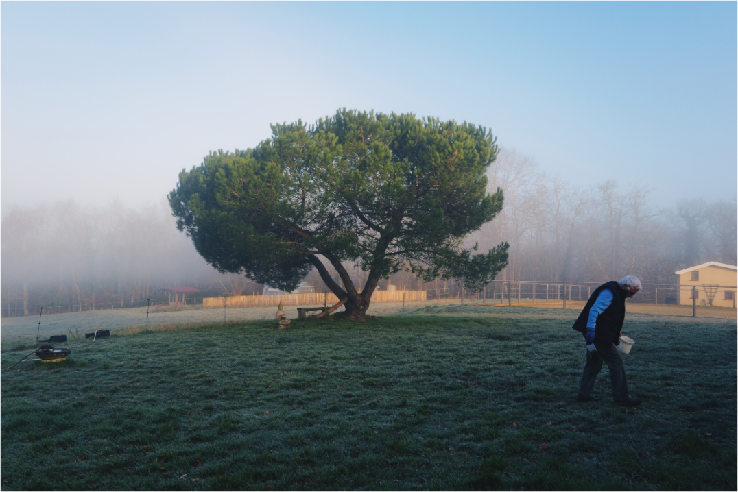 Le bonheur est dans le pré (France, Gers)