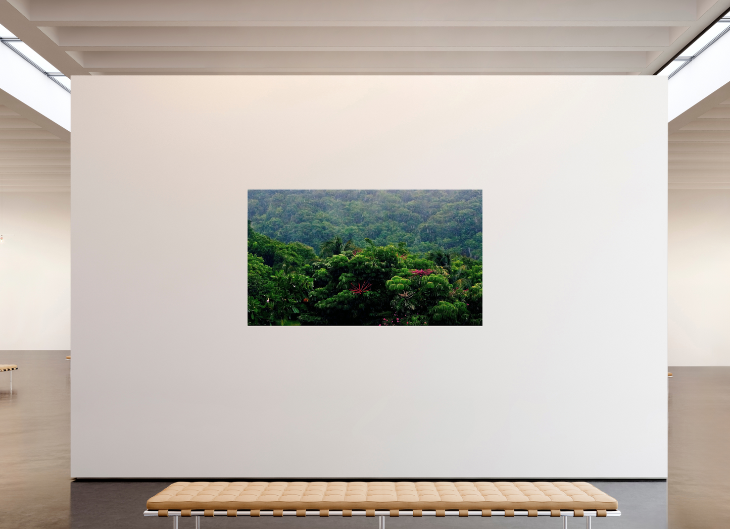 Green belt (Guadeloupe, Vieux Fort)