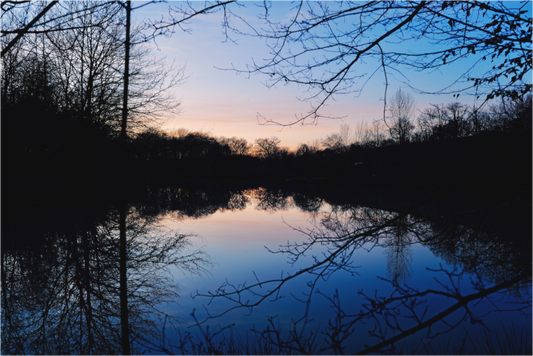 Inner reflection (France, Gers)