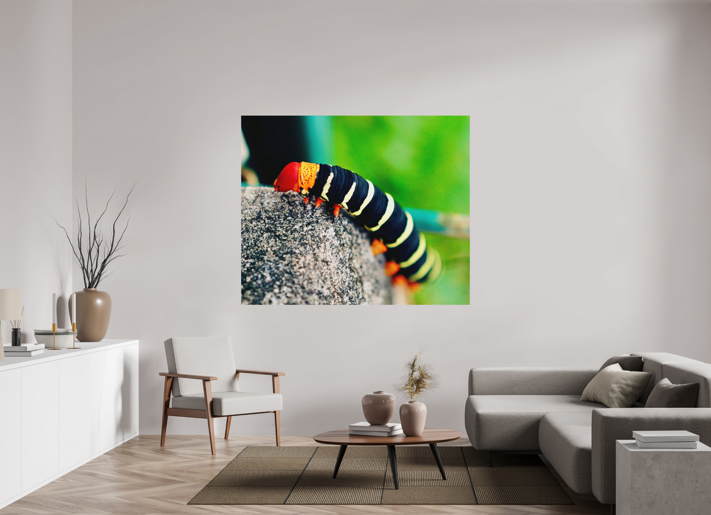 Frangipani caterpillar (Guadeloupe, Vieux Fort)