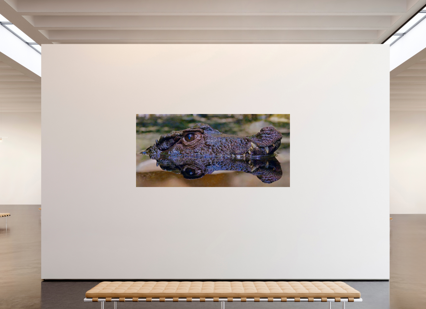 231,9 x 110 cm, Impression brillante fine art sur alu dibond (prête à être accrochée) Patience des profondeurs (Allemagne, Berlin)