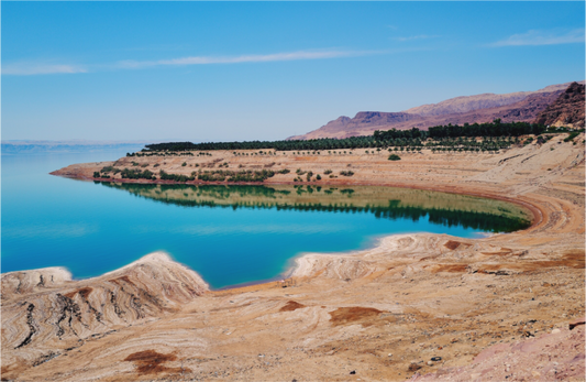 Still and Dead (Jordan, Dead Sea)