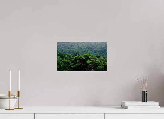 Green belt (Guadeloupe, Vieux Fort)