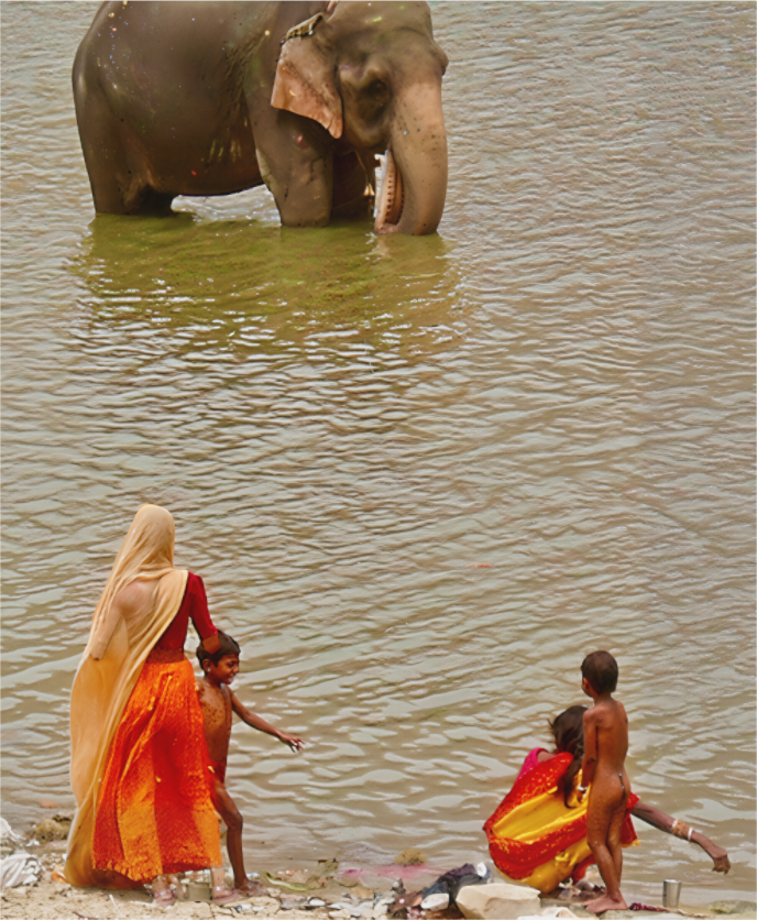 Main image Proximité (Inde, Udaipur)