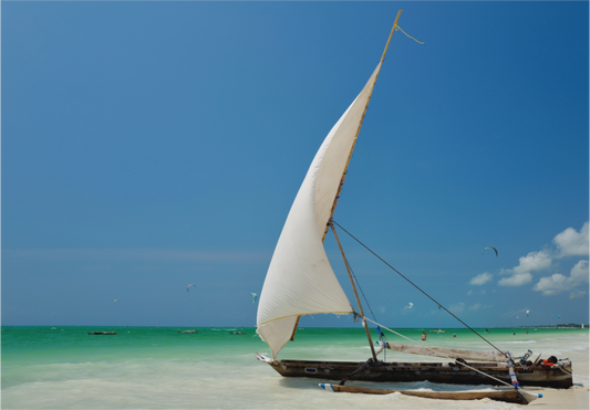 Winged (Tanzania, Zanzibar)
