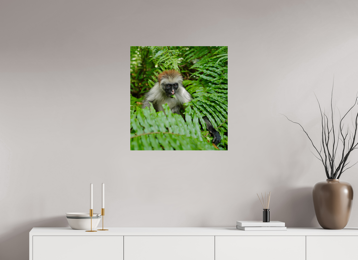 Red monkey V (Tanzania, Zanzibar)