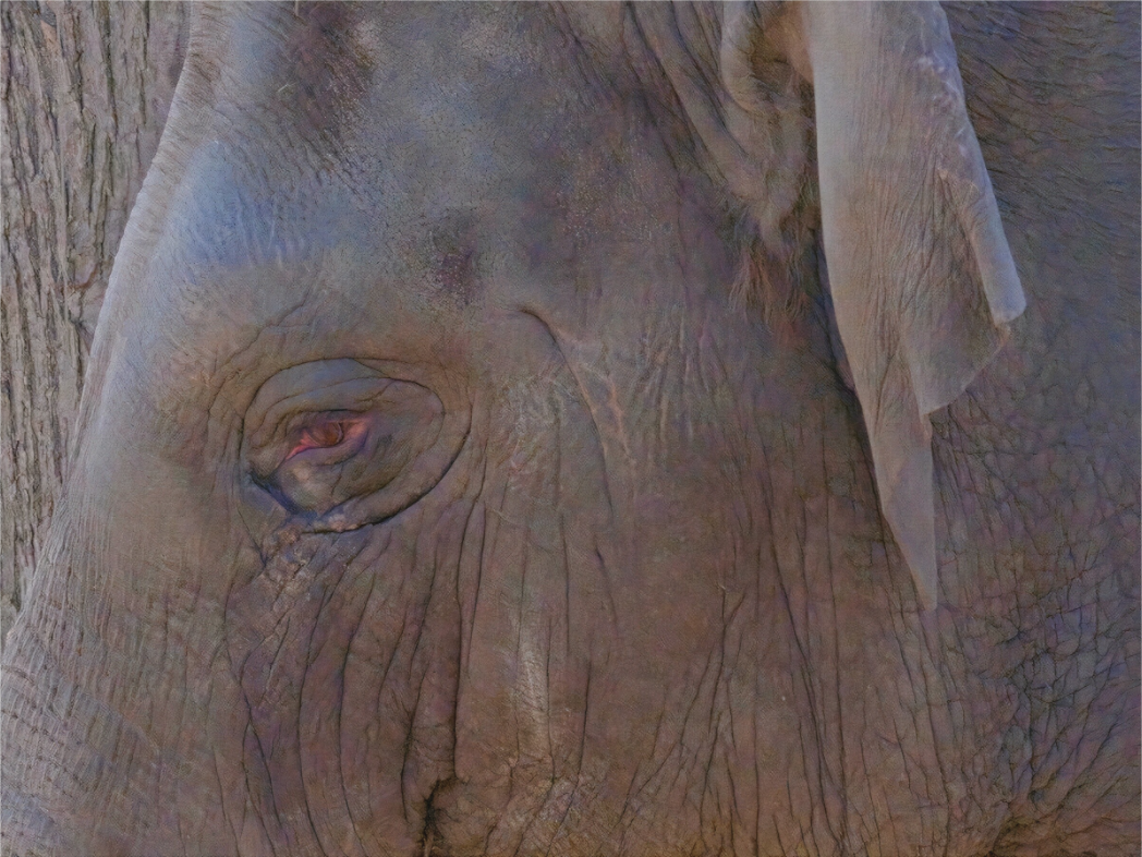 Main image Inaltérable altéré (Allemagne, Berlin)