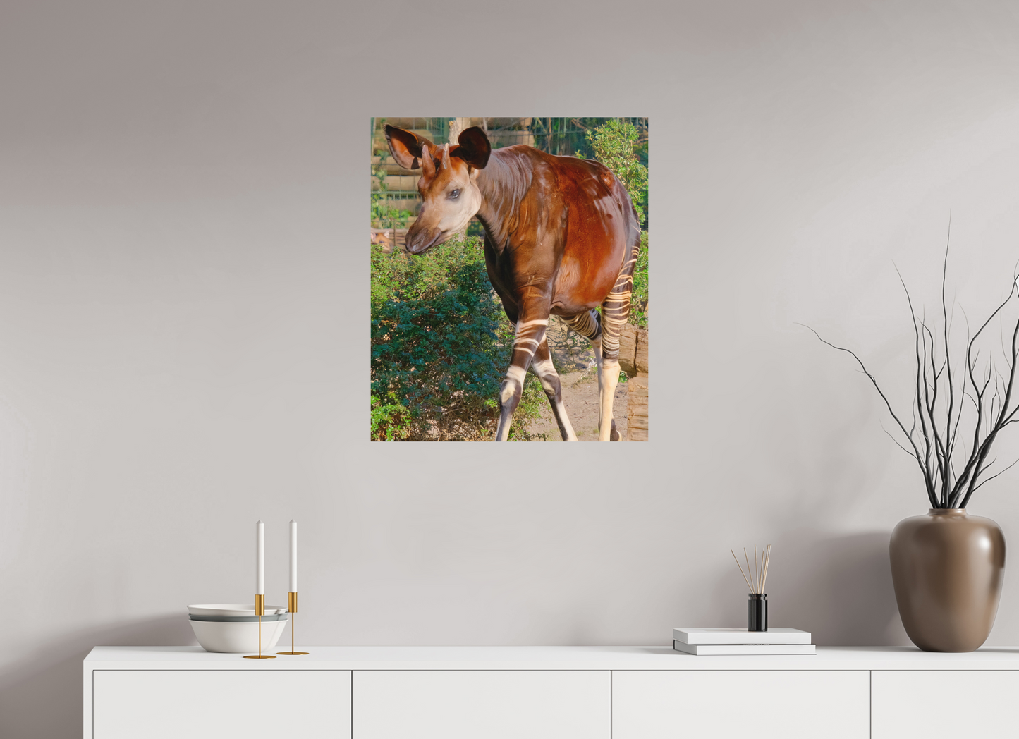 60 x 70,1 cm, Impression mate fine art sur alu dibond (prête à être accrochée) Okapi (Allemagne, Berlin)