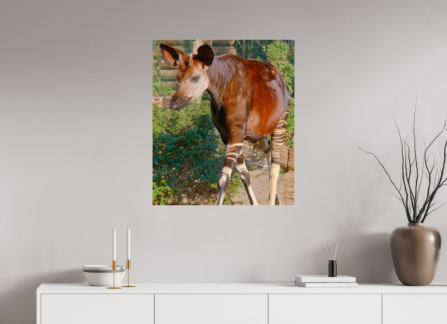 70 x 81,7 cm, Impression brillante fine art sur alu dibond (prête à être accrochée) Okapi (Allemagne, Berlin)