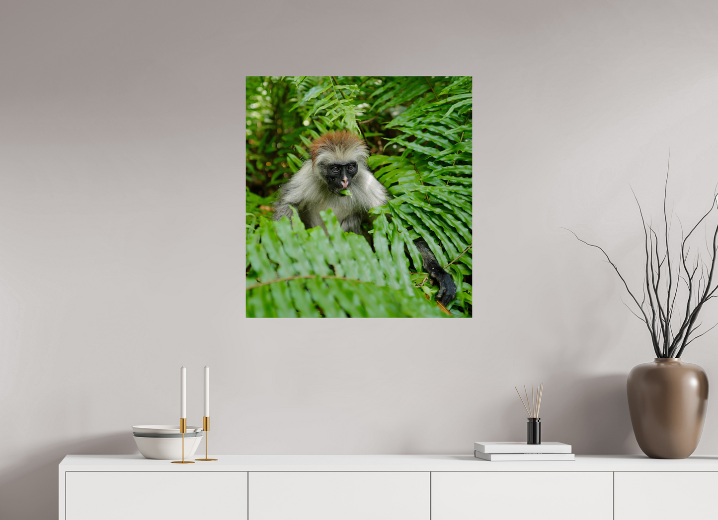 Red monkey V (Tanzania, Zanzibar)