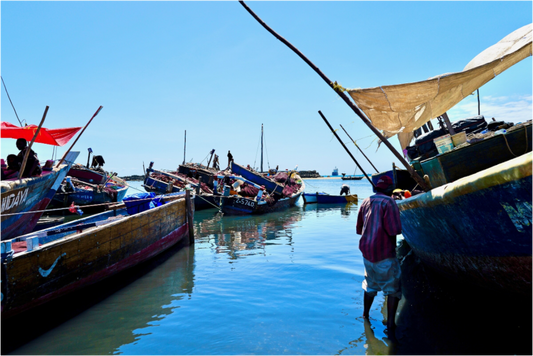 Malindi Port VII (Tanzania, Zanzibar)