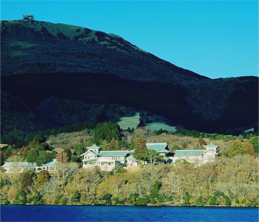 Chiaroscuro (Japan, Hakone)