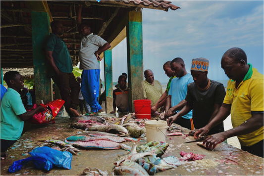 The workshop of Neptune III (Tanzania, Zanzibar)