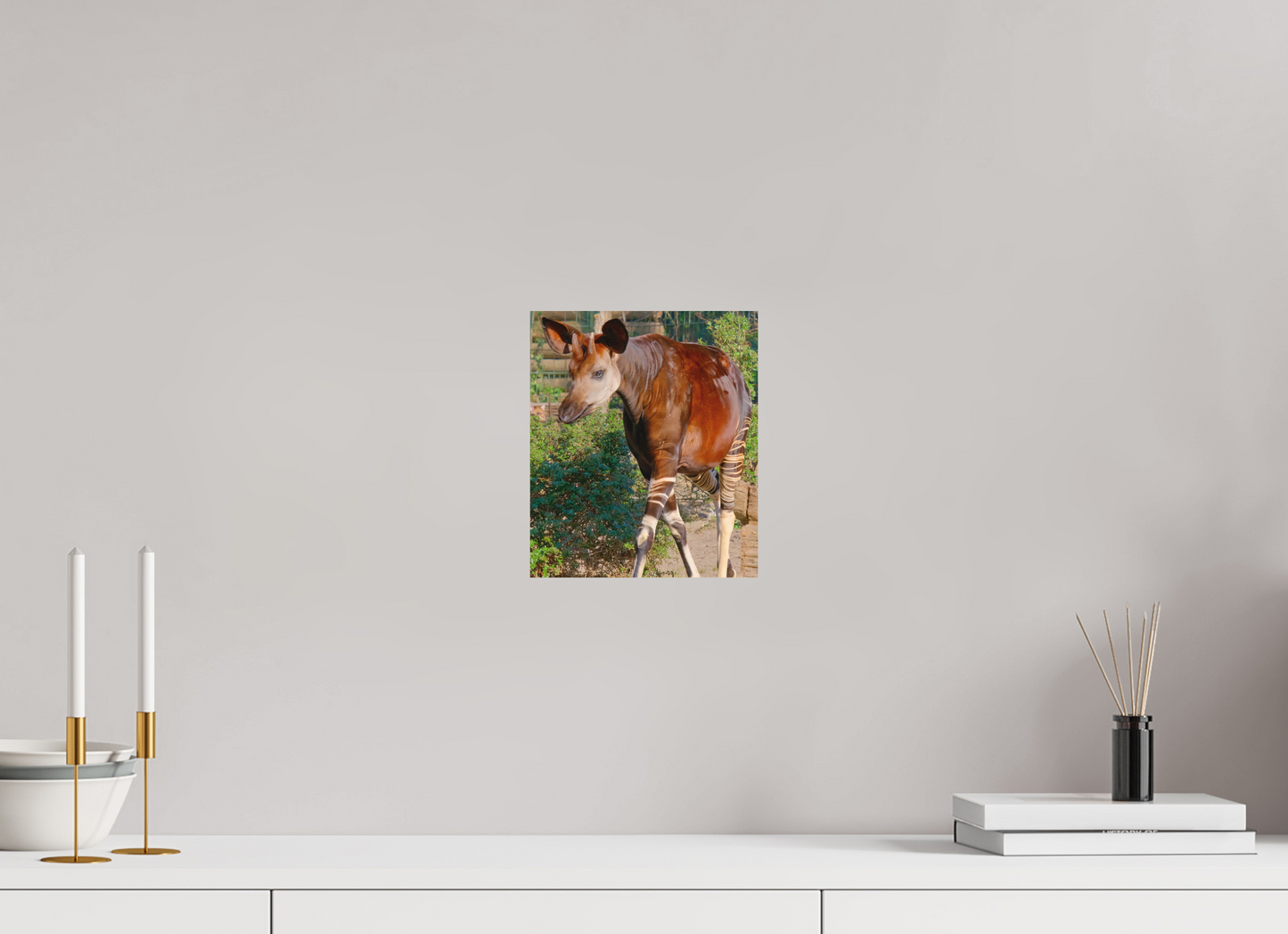 20 x 23,4 cm, Impression mate fine art sur alu dibond (prête à être accrochée) Okapi (Allemagne, Berlin)