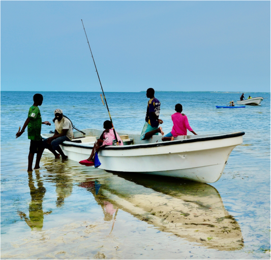 Mirror Boat (Tanzania, Zanzibar)