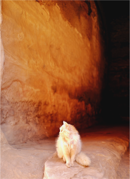 Heir of Nabataea (Jordan, Petra)