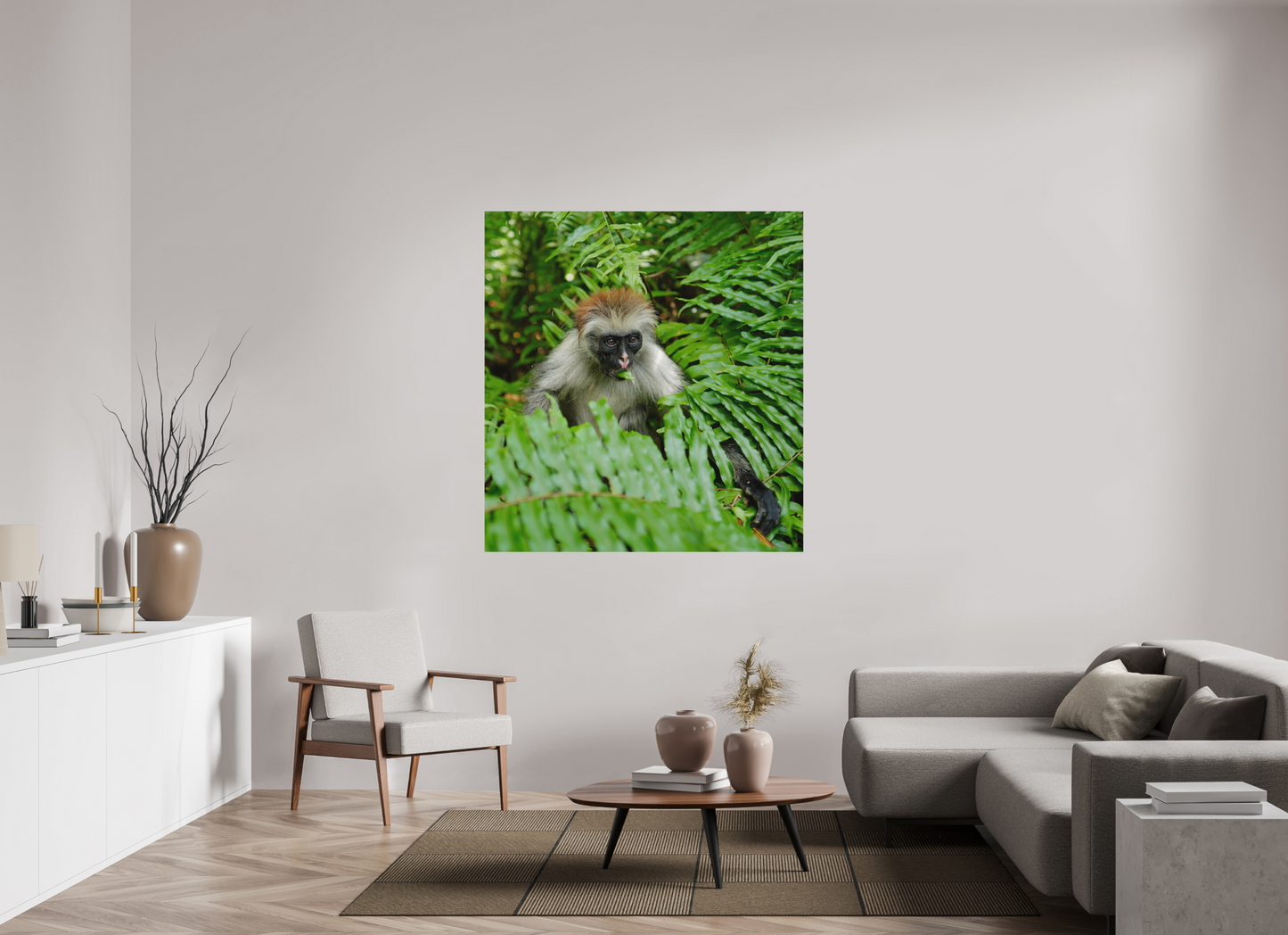 Red monkey V (Tanzania, Zanzibar)