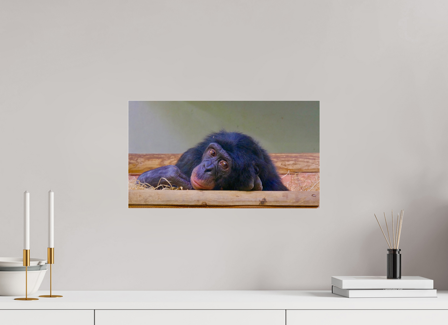 48 x 27 cm, Impression brillante fine art sur alu dibond (prête à être accrochée) Prisonnier (Allemagne, Berlin)