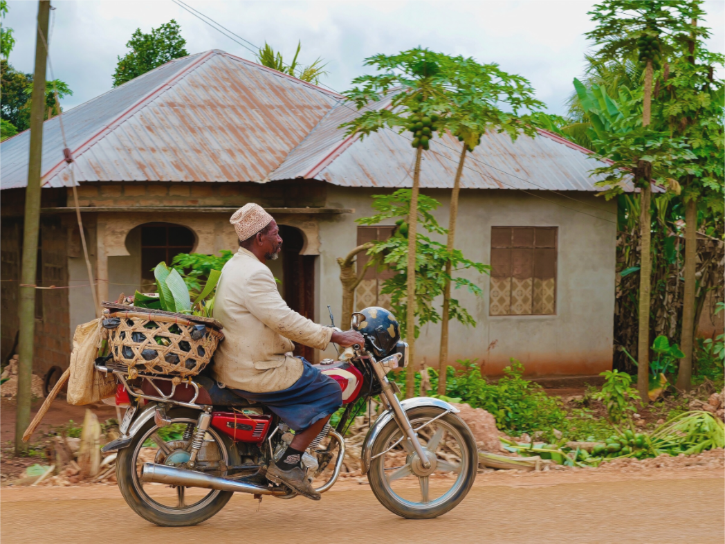 The Fish Seller I (Tanzania, Zanzibar)