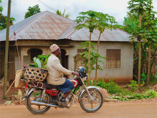 The Fish Seller I (Tanzania, Zanzibar)