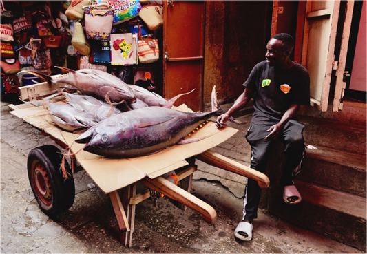 Nothing but fat (Tanzania, Zanzibar)
