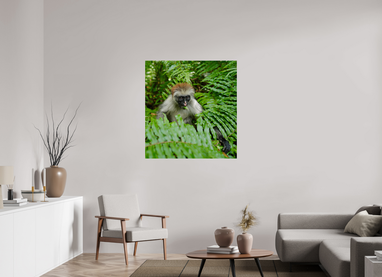 Red monkey V (Tanzania, Zanzibar)