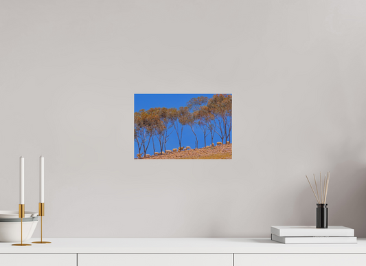 30 x 20 cm, Impression mate fine art sur alu dibond (prête à être accrochée) Ligne pastorale (Maroc, Atlas)