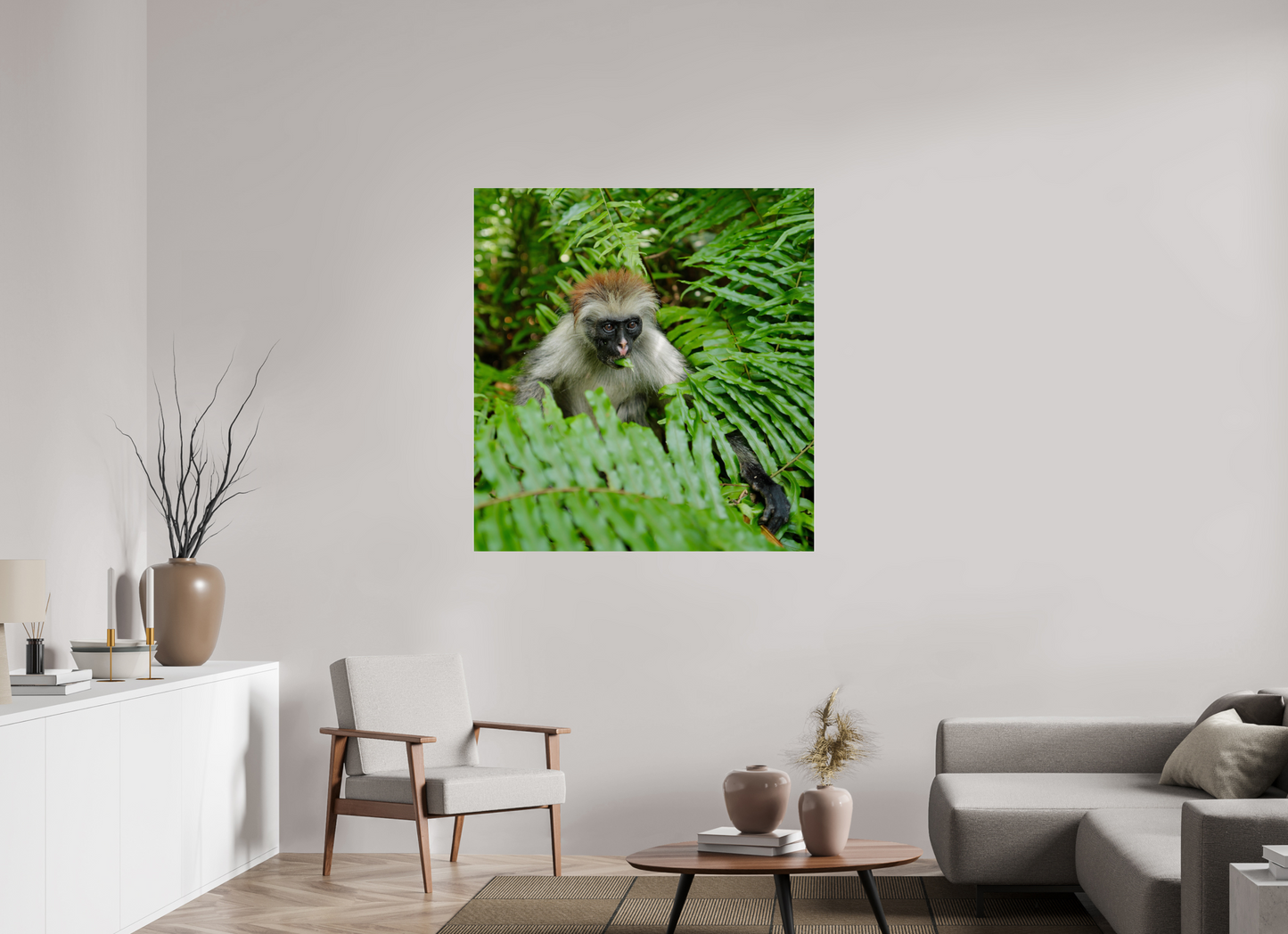 Red monkey V (Tanzania, Zanzibar)