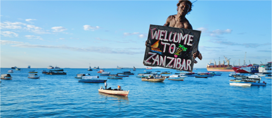Welcome to Zanzibar (Tanzania, Zanzibar)