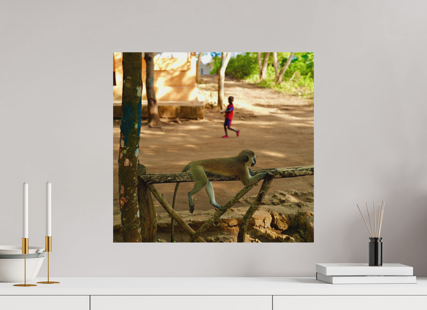 Monkey rest (Tanzania, Zanzibar)