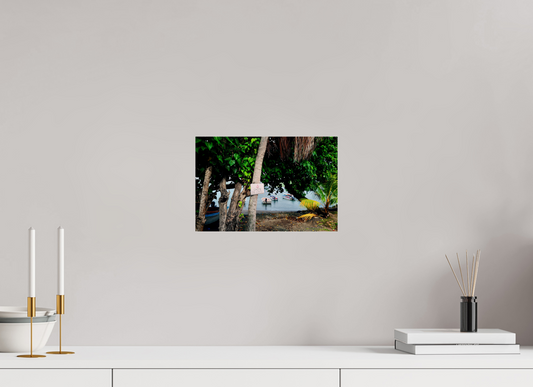 Falling coconuts (Guadeloupe, Les Saintes)