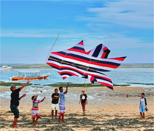 Windcatcher (Indonesia, Bali)