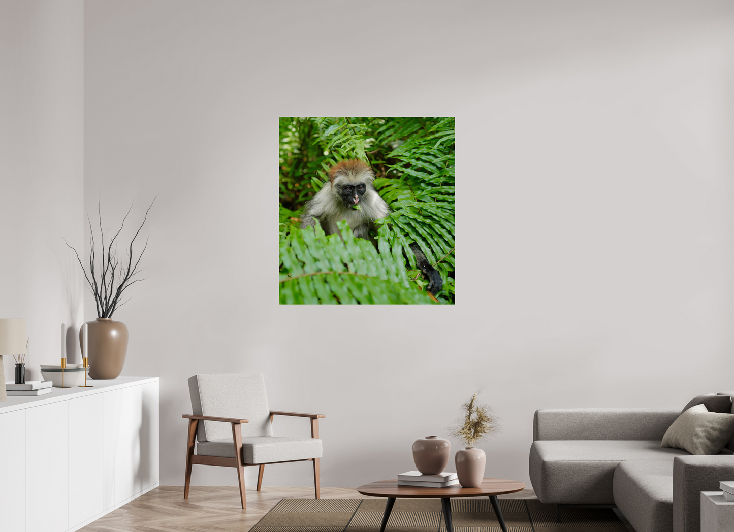 Red monkey V (Tanzania, Zanzibar)