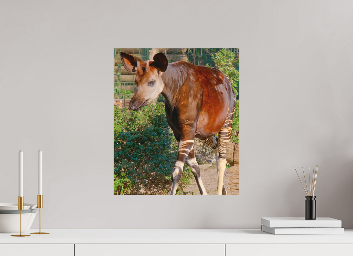 40 x 46,7 cm, Impression mate fine art sur alu dibond (prête à être accrochée) Okapi (Allemagne, Berlin)