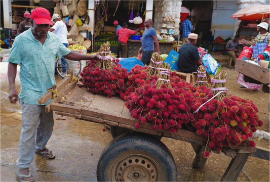 Rambutan (Tanzania, Zanzibar)