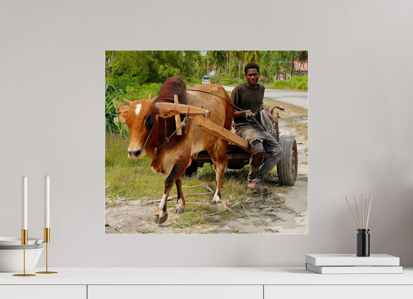 No zebu (Tanzania, Zanzibar)