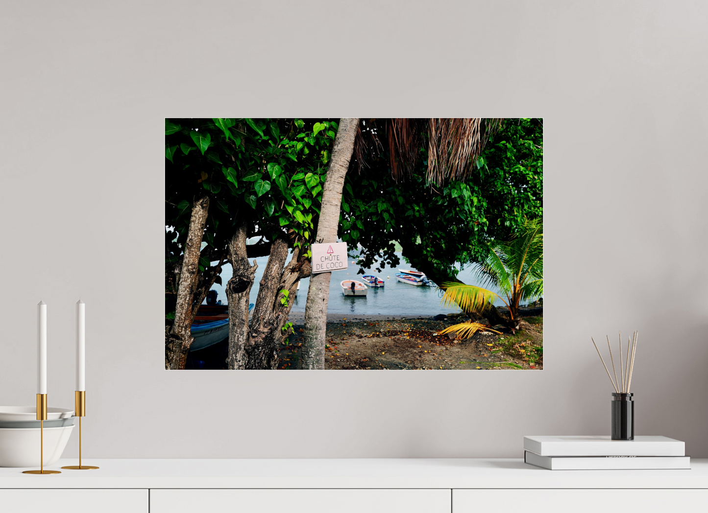 Falling coconuts (Guadeloupe, Les Saintes)