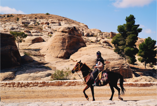 Arabian rhythm, carved horizon (Jordan, Petra)