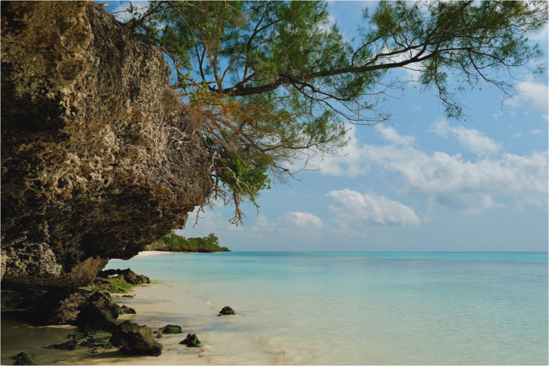 Zanzibar Coast (Tanzania, Zanzibar)