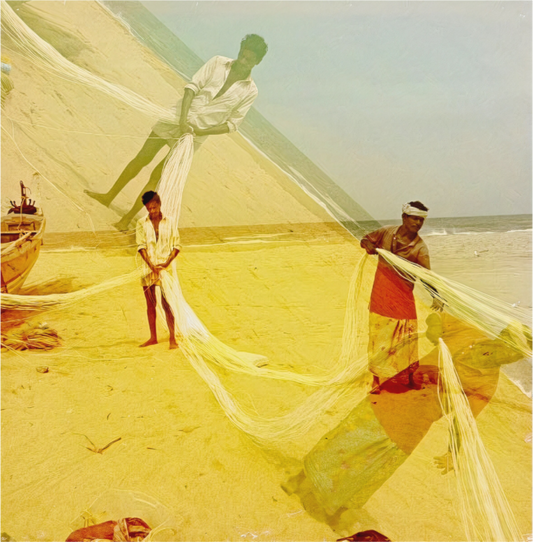 Echo of the Nets (India, Kerala)