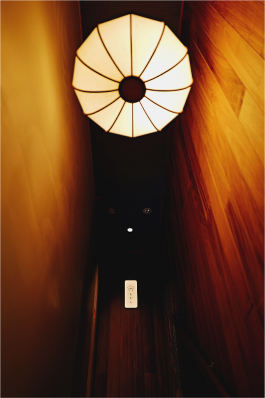 At the threshold (Japan, Kyoto)