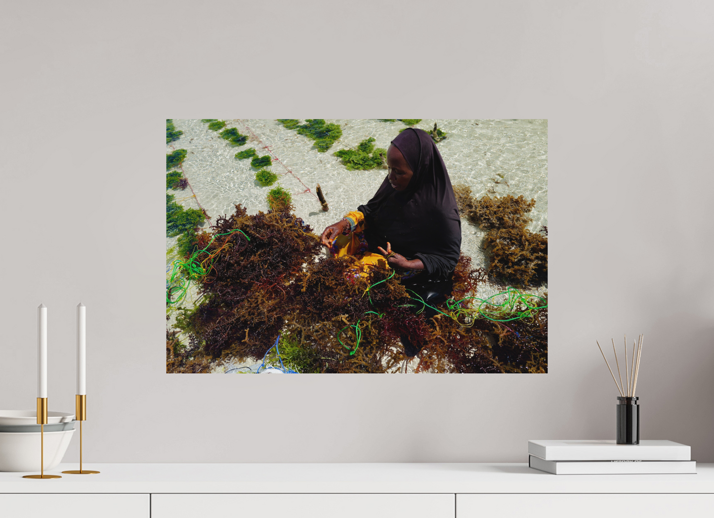 Seaweed harvest V (Tanzanie, Zanzibar)